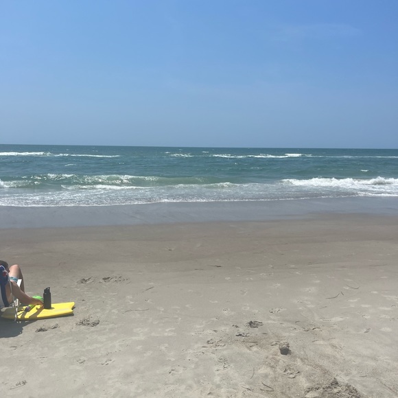 Meet your Posher, Jaxson - Picture 1 of 1